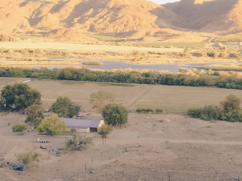 Irrigation farm located near Noordoewer with canal water available. - Photo 4