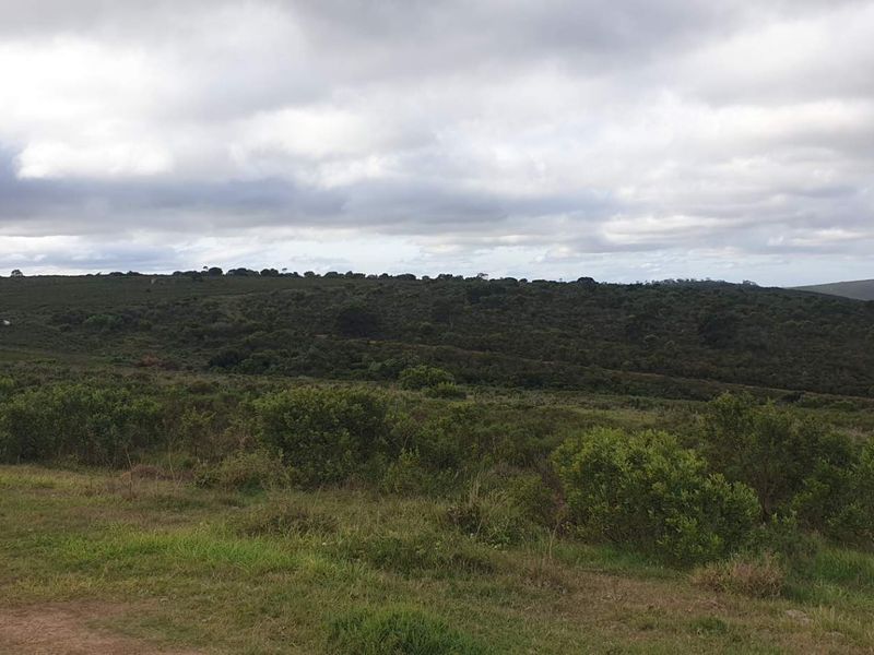 50 hectares with So much potential - Photo 7