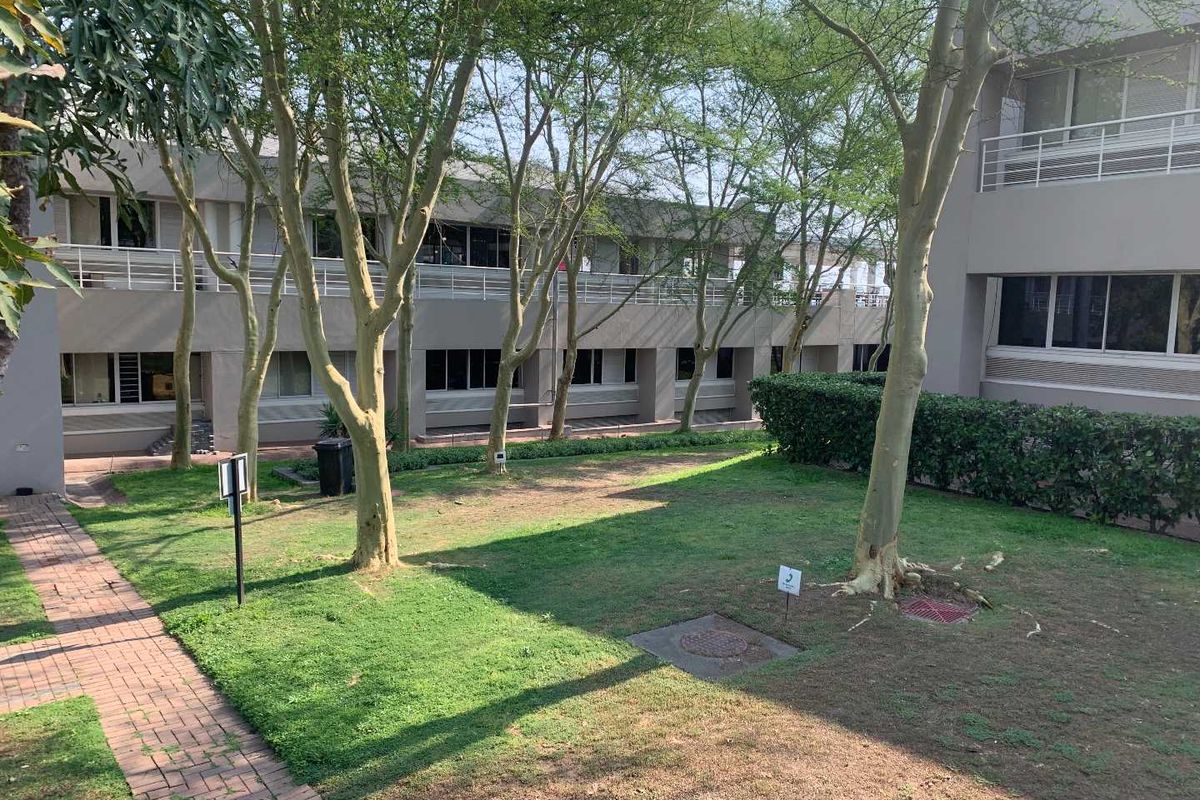 A view of the office building exterior featuring a landscaped courtyard area with mature trees, paved walkways, and multi-level office facades.