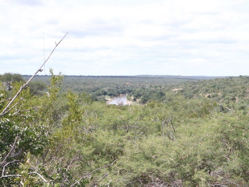 Exclusivity and quietness is the name of the game. - Photo 4