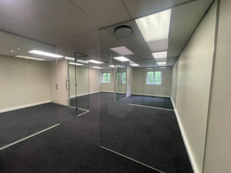 A modern, empty office space featuring glass partitioning, suspended ceilings with recessed lighting, and dark carpeting, offering a clean and professional work environment.