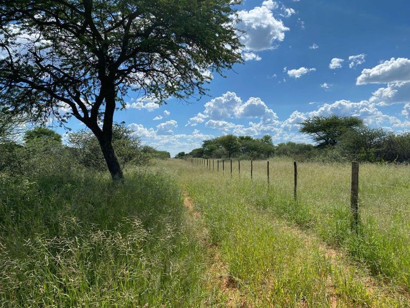 A view of the open veld landscape featuring natural vegetation and a perimeter wire fence with wooden posts.