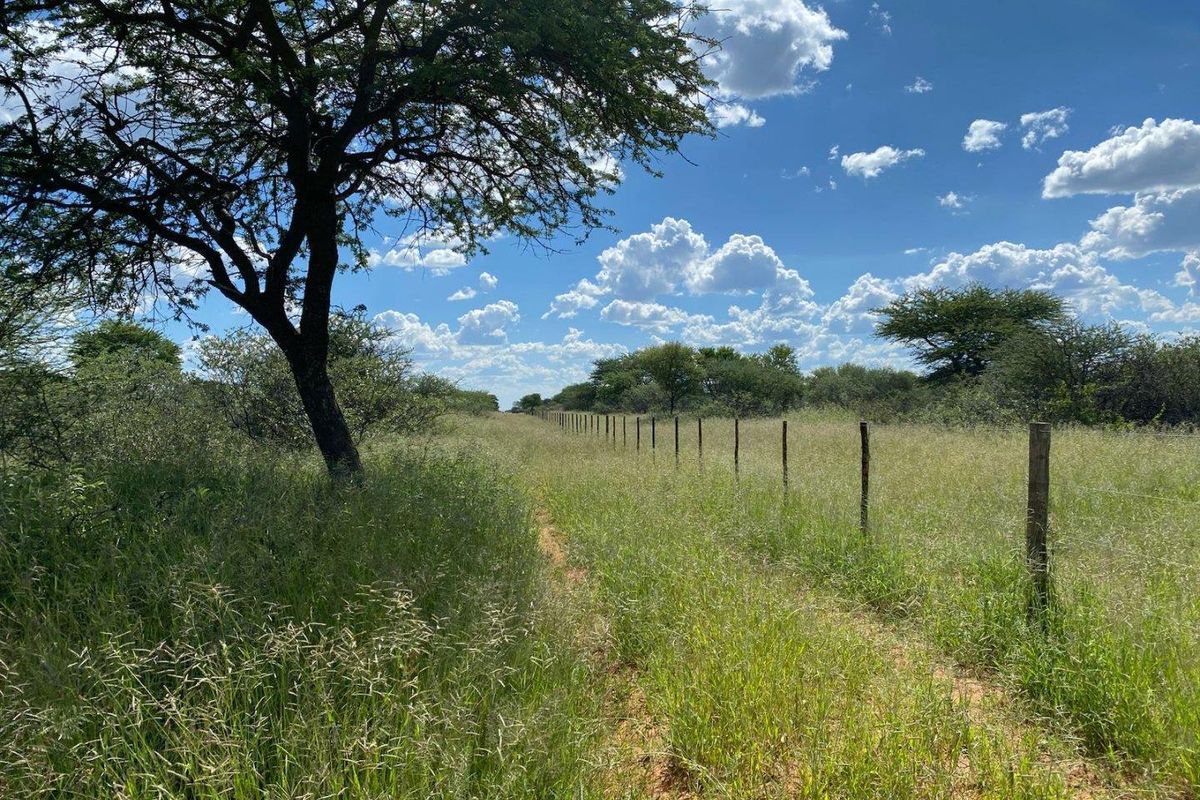 A view of the open veld landscape featuring natural vegetation and a perimeter wire fence with wooden posts.