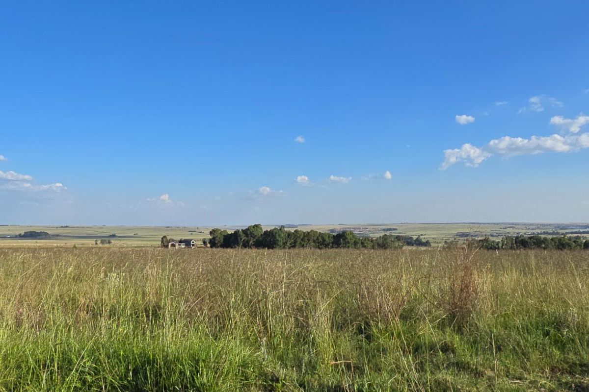 A wide-angle view of expansive, undeveloped residential land featuring natural grassland and distant tree lines under a clear blue sky.