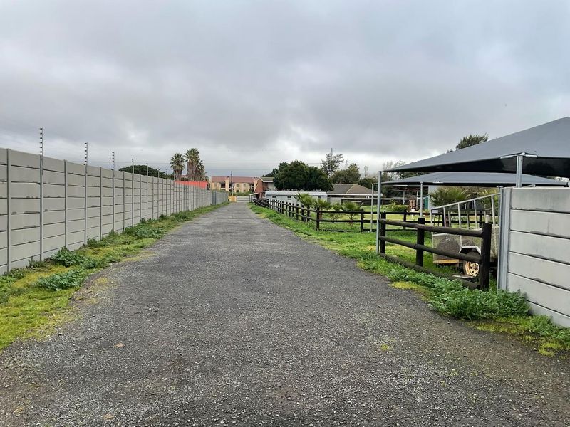 Pristine Smallholding – Lifestyle, Business & Investment Opportunity - Photo 5