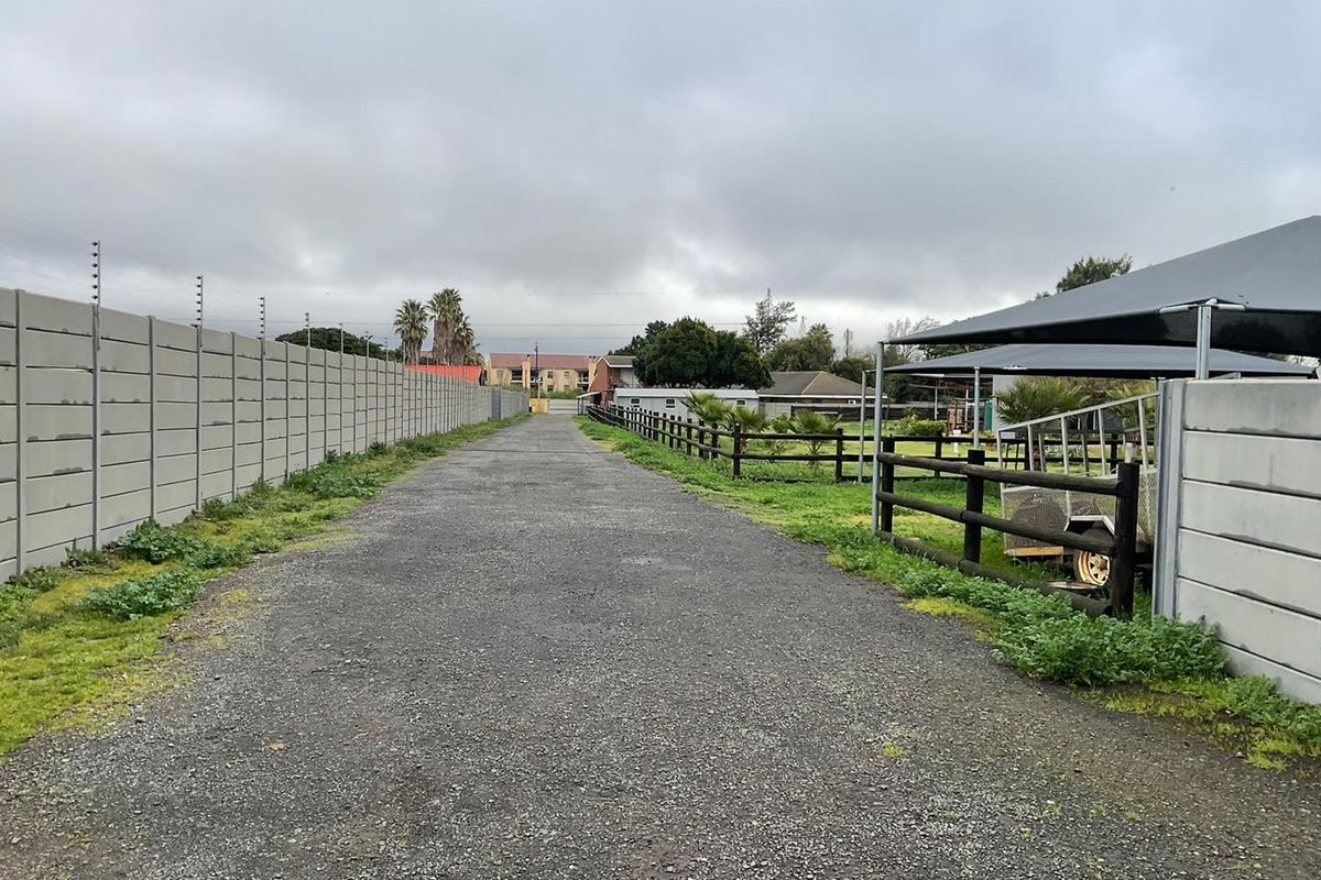 Pristine Smallholding – Lifestyle, Business & Investment Opportunity - Photo 5