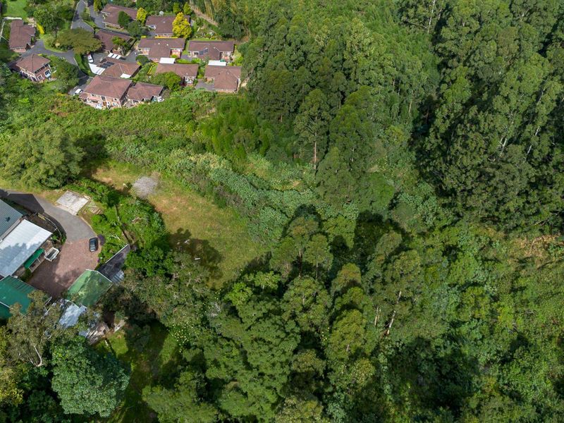 Developmental Opportunities or a Dream Home - Photo 9