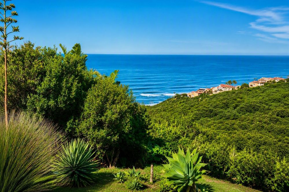 Ocean View
