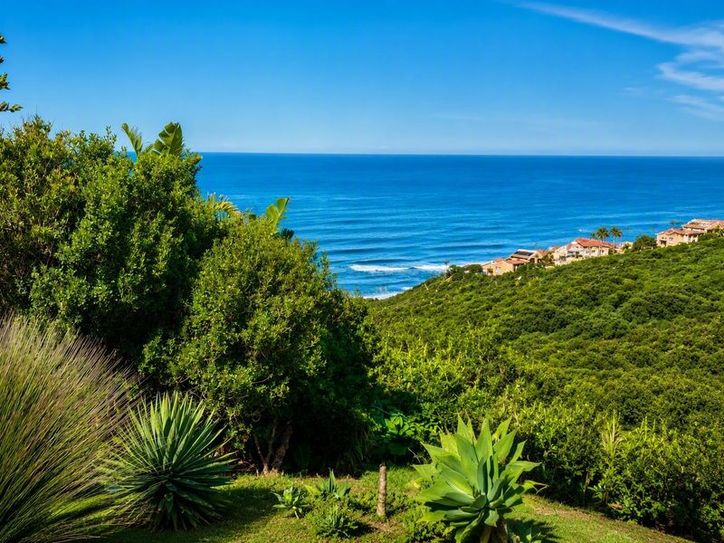 A scenic elevated view overlooking the coastline, lush green vegetation, and distant residential properties along the shore.