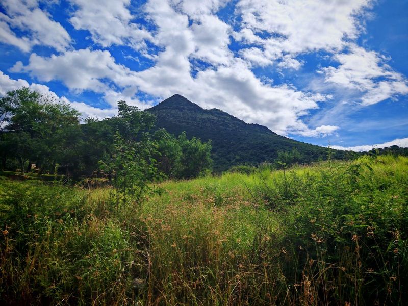 Prime Vacant Stand For Sale - Photo 4