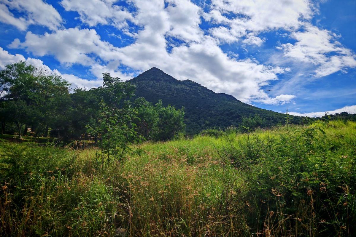 Prime Vacant Stand For Sale - Photo 4