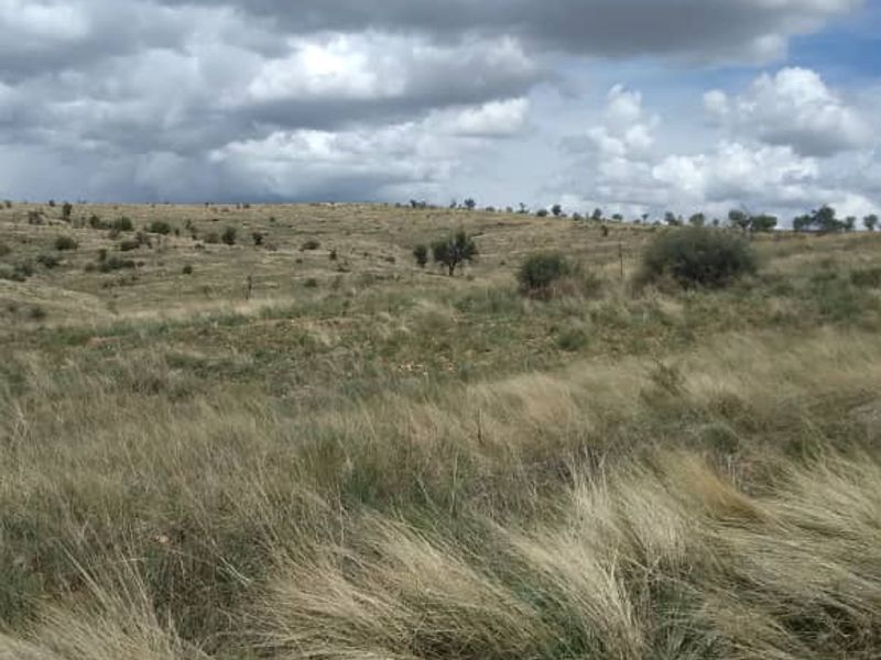 A wide-angle view of open, undeveloped grassland landscape under a cloudy sky, suitable for residential development.