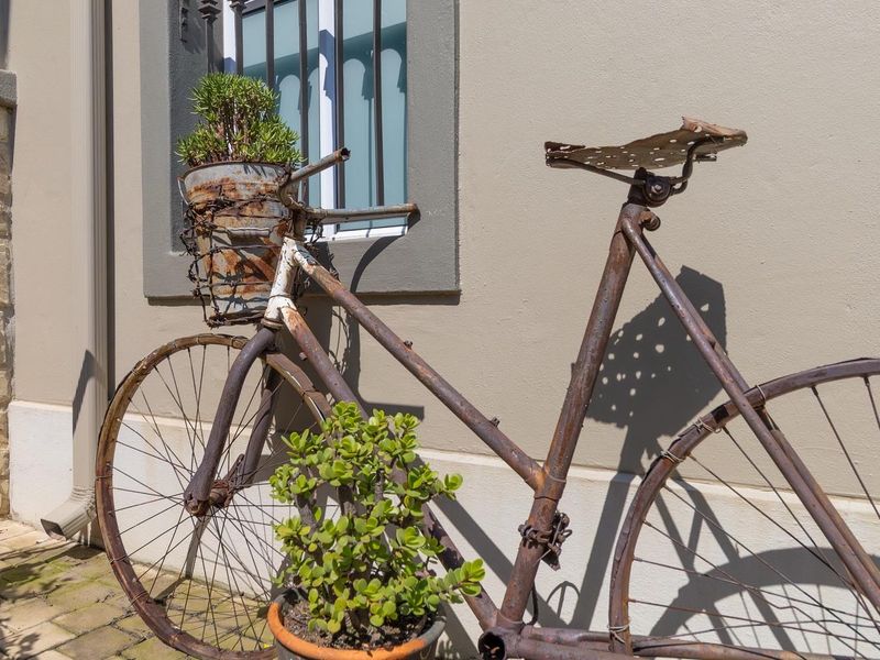 Mediterranean oasis family home - Photo 4