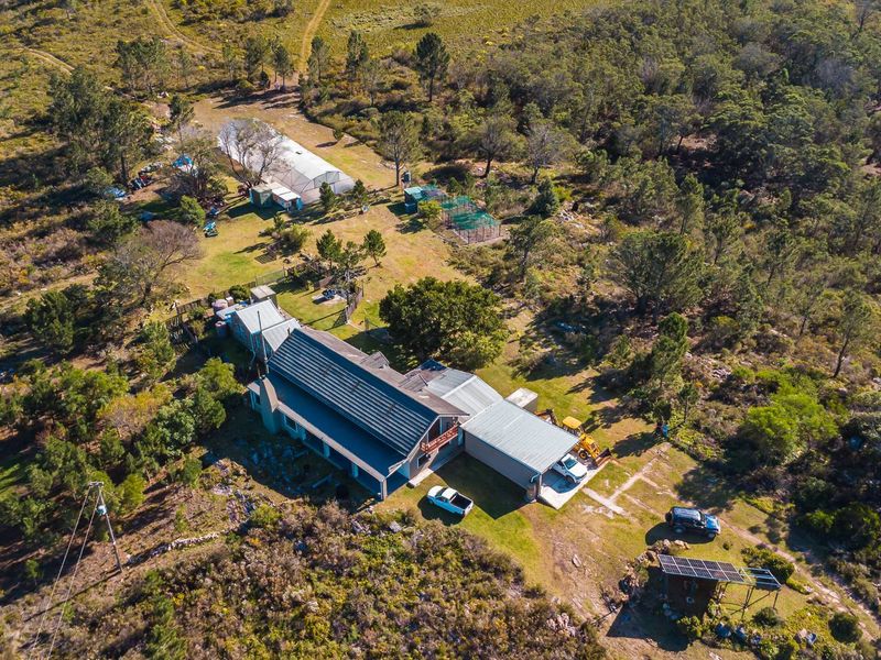 Set within an unspoiled landscape of indigenous Fynbos, this exceptional lifestyle farm... - Photo 2