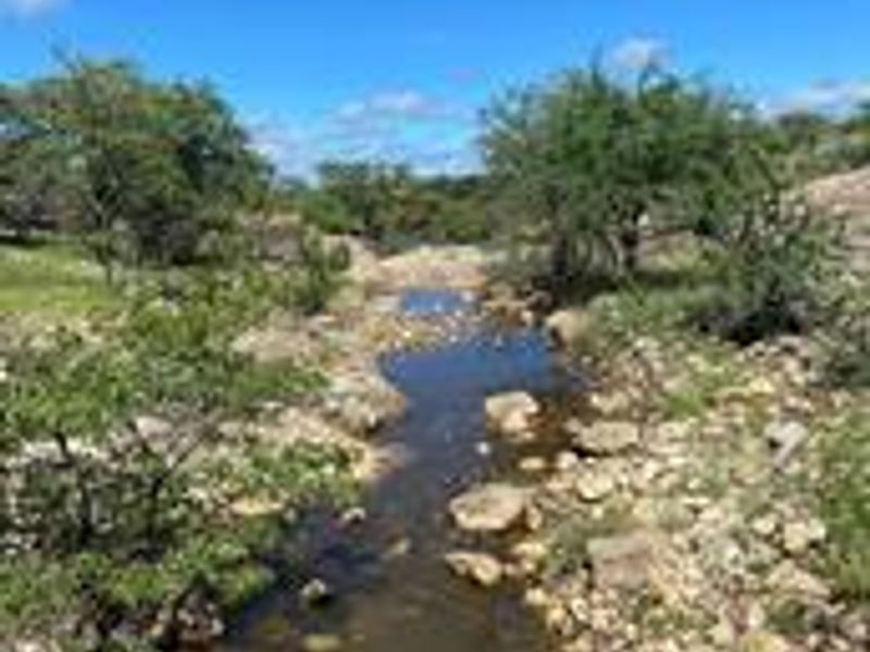 A scenic view of a natural stream flowing through the farm landscape, surrounded by indigenous trees and rocky terrain.