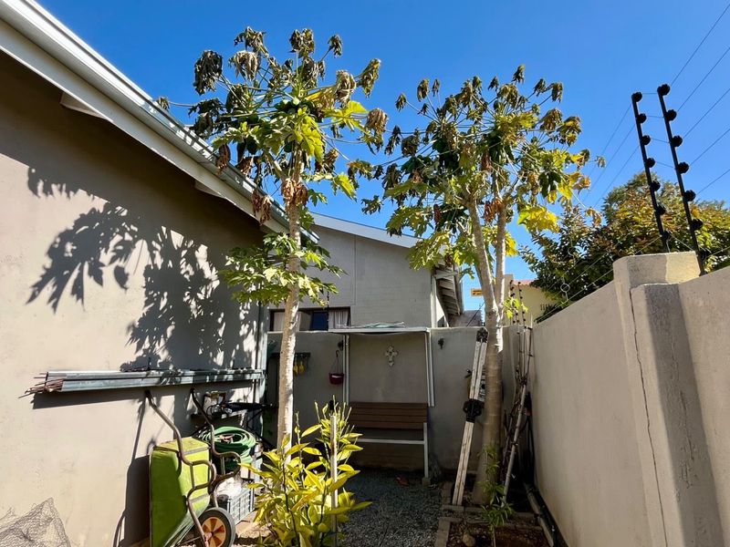 🌿 Rare Find in Okahandja Town - Photo 3