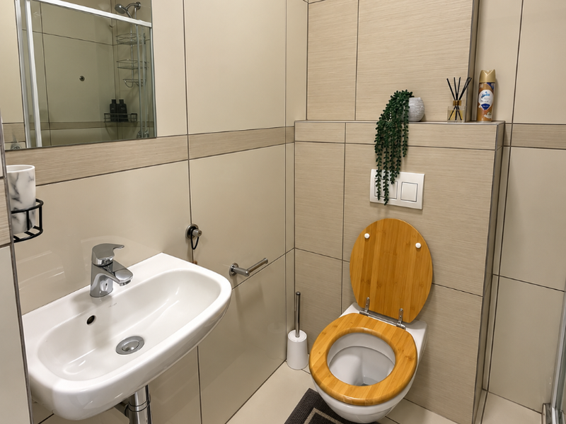 Modern bathroom featuring a wall-mounted toilet with a wooden seat, a sleek wall-mounted basin, and neutral large-format tiling throughout.