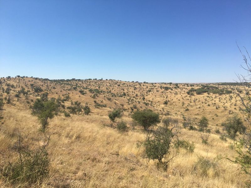 LIVE OFF THE GRID !!! 26.7km OUTSIDE WINDHOEK ! - Photo 8