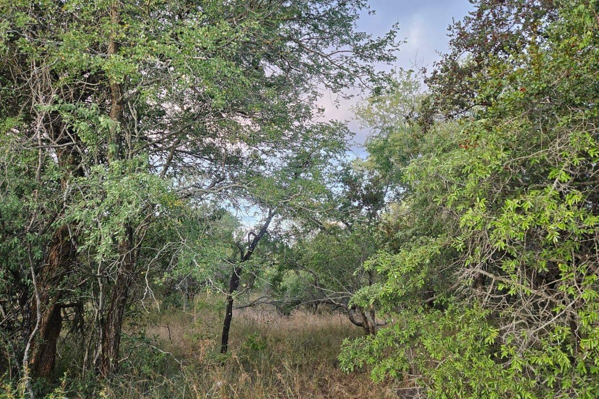 Vacant Land in MODITLO NATURE RESERVE - Photo 2