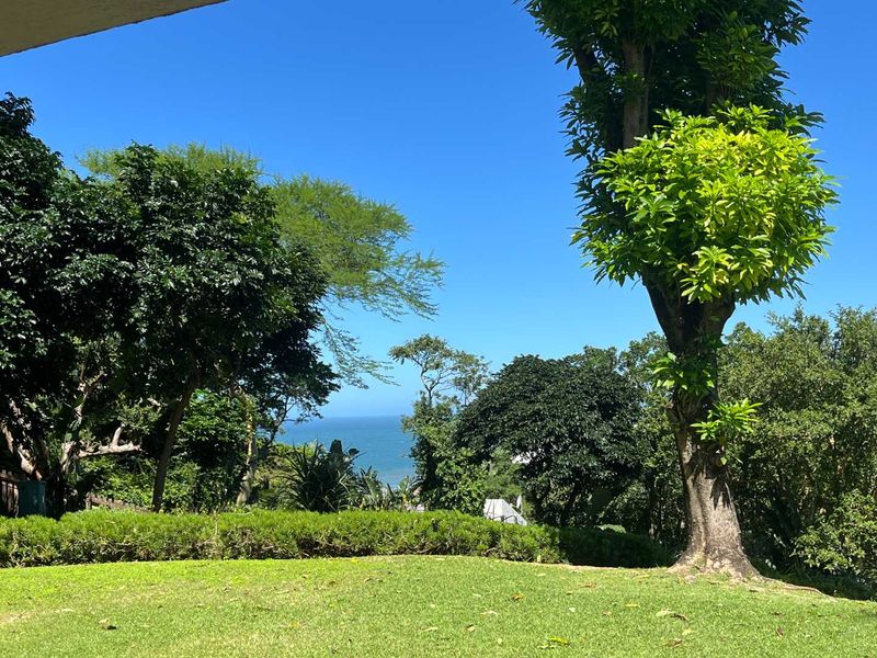 A scenic view of the ocean framed by lush greenery and mature trees from the property's garden area.