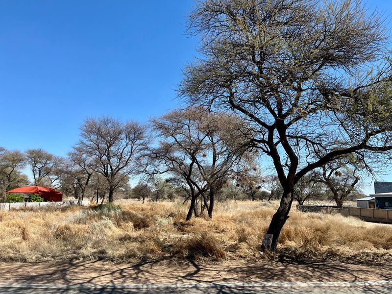 A view of a vacant residential plot featuring mature trees and a boundary wall, offering a natural landscape setting.
