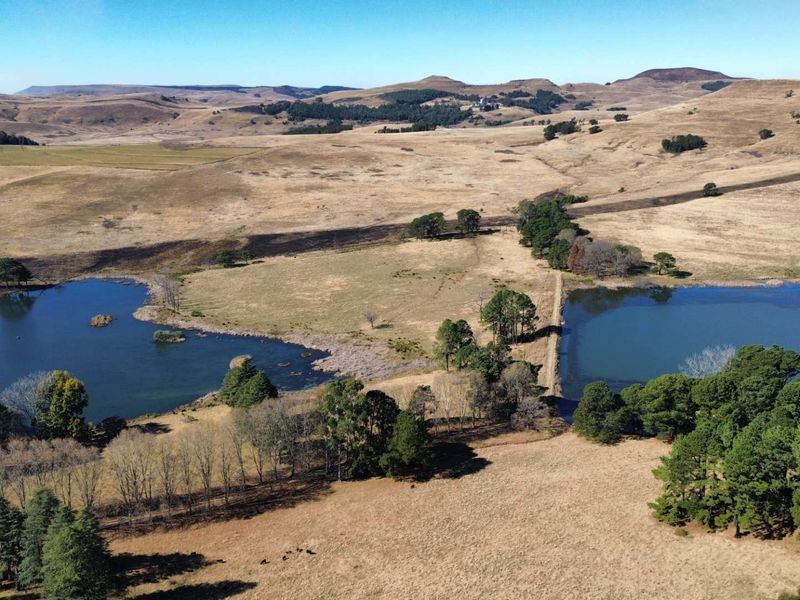 An aerial view of the farm property featuring expansive open pastures, mature trees, and two large dams.