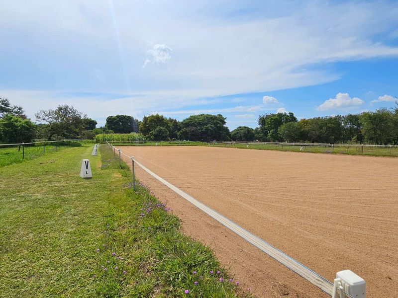 Compact, Secure, OFF THE GRID Equestrian Property - Photo 6