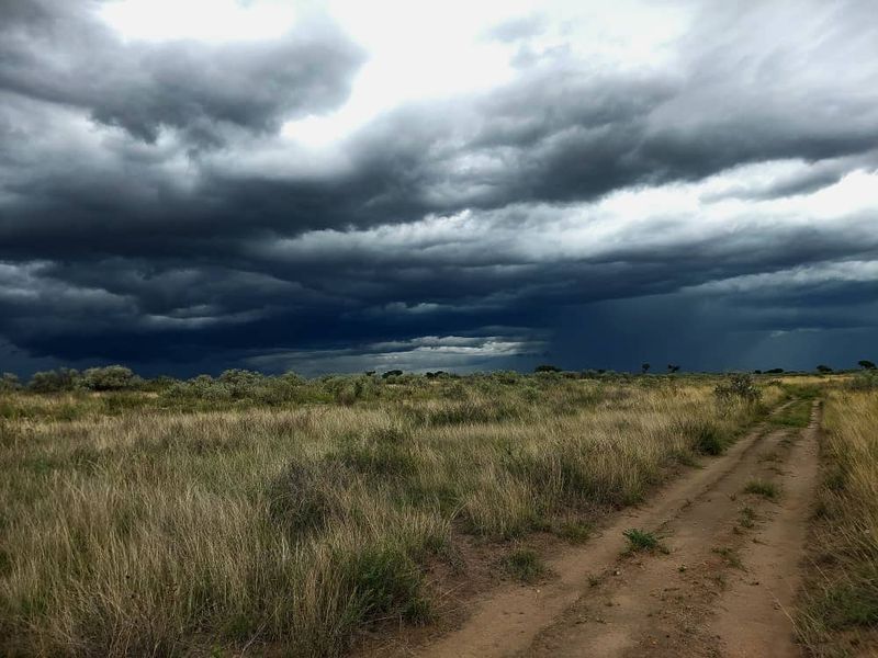 FOR SALE - Farm in the Steinhausen/Hochfeld area - Photo 4