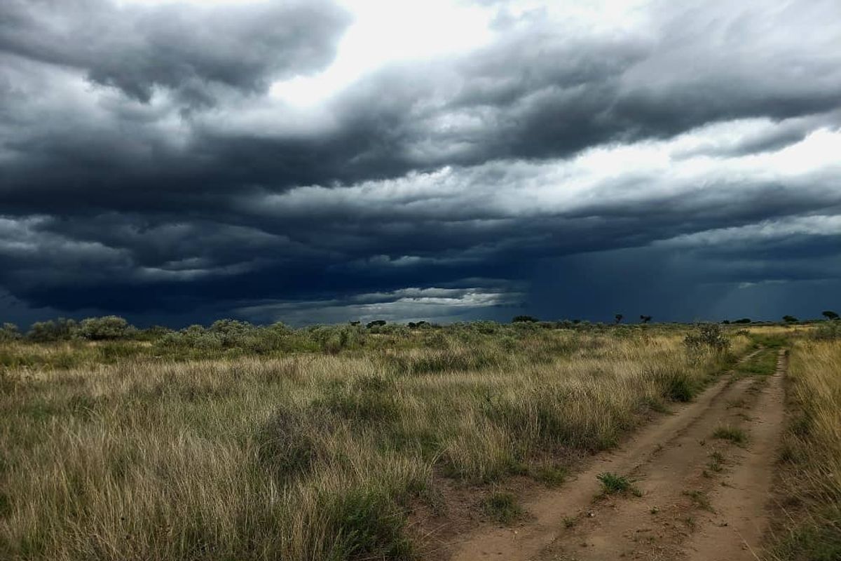 FOR SALE - Farm in the Steinhausen/Hochfeld area - Photo 4