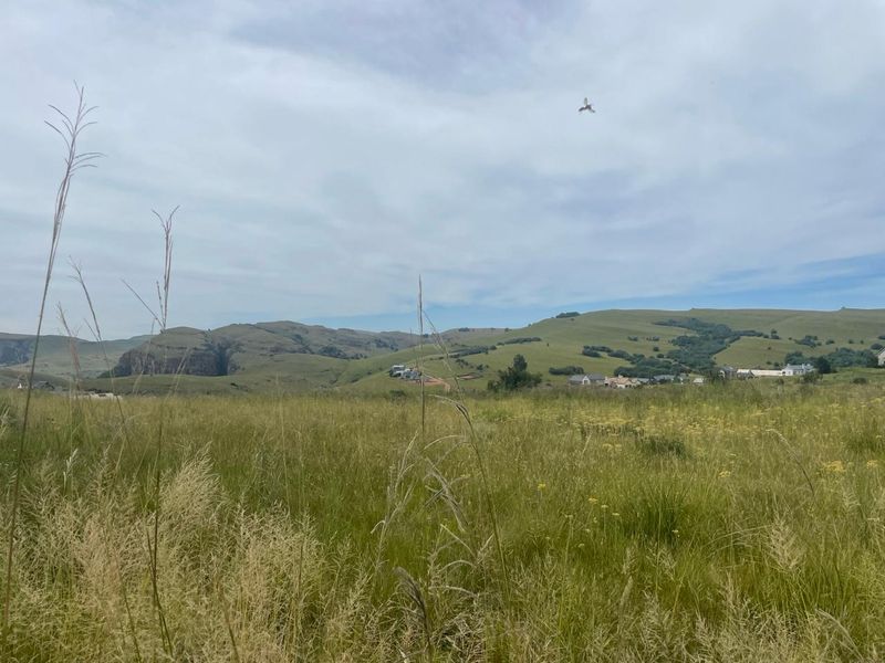 Stand in the exclusive Highland Gate Estate - Photo 7