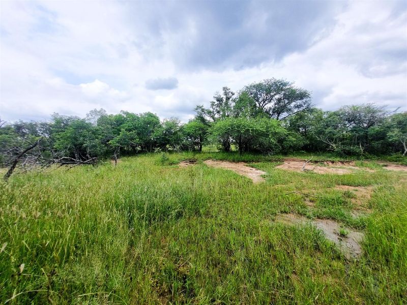 Riverfront stand - Photo 4