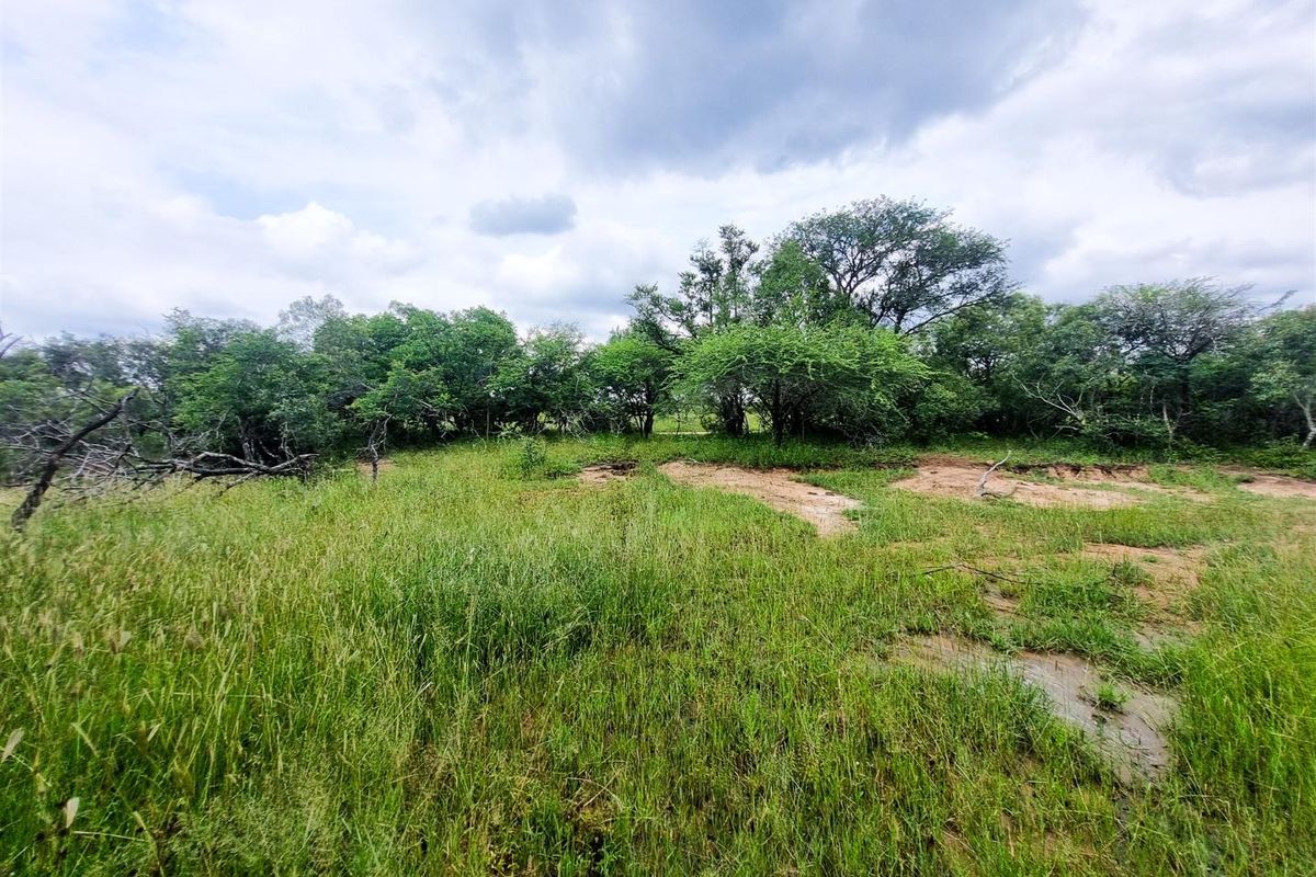 Riverfront stand - Photo 4