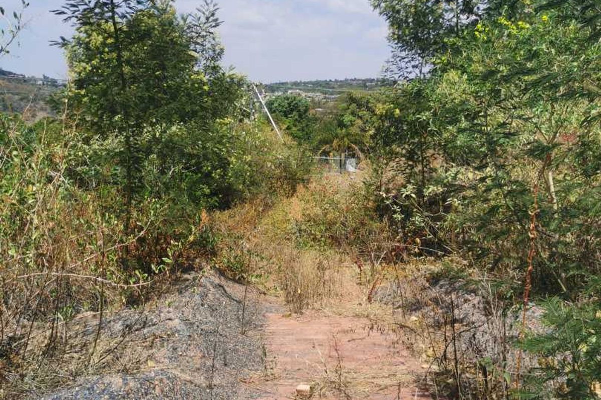 Large stand for development with panoramic views - Photo 3