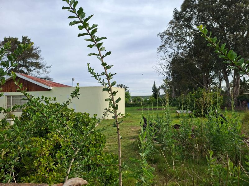 A view of the rear exterior of the property featuring a large garden area and a building with a corrugated metal roof.