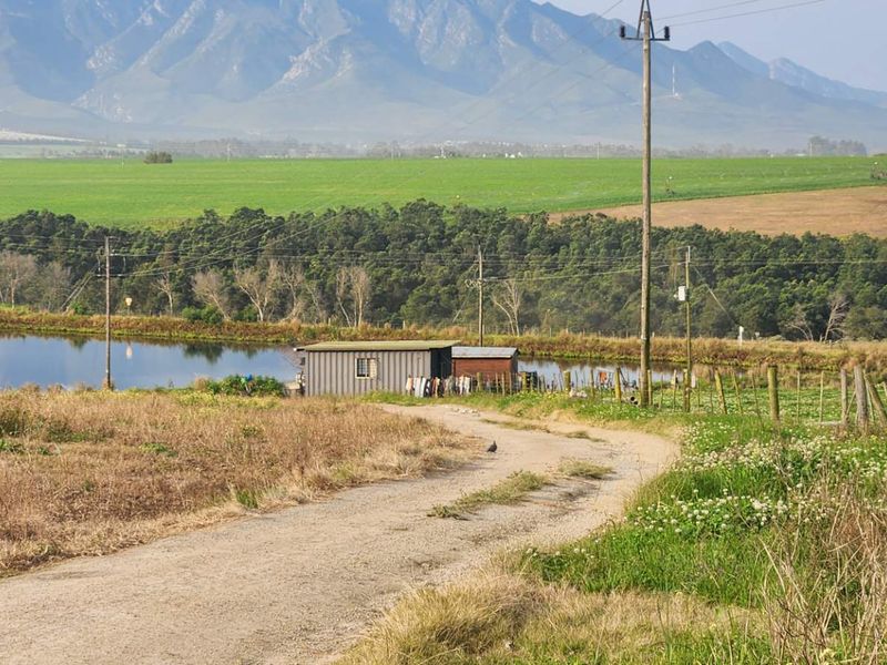 A scenic view of the farm landscape featuring a dam, dirt access road, and mountain backdrop.