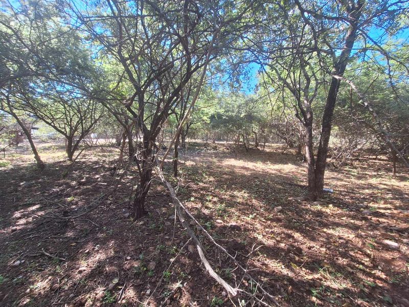 Escape to Leeupoort - Natures Sanctuary Near Pretoria - Photo 8