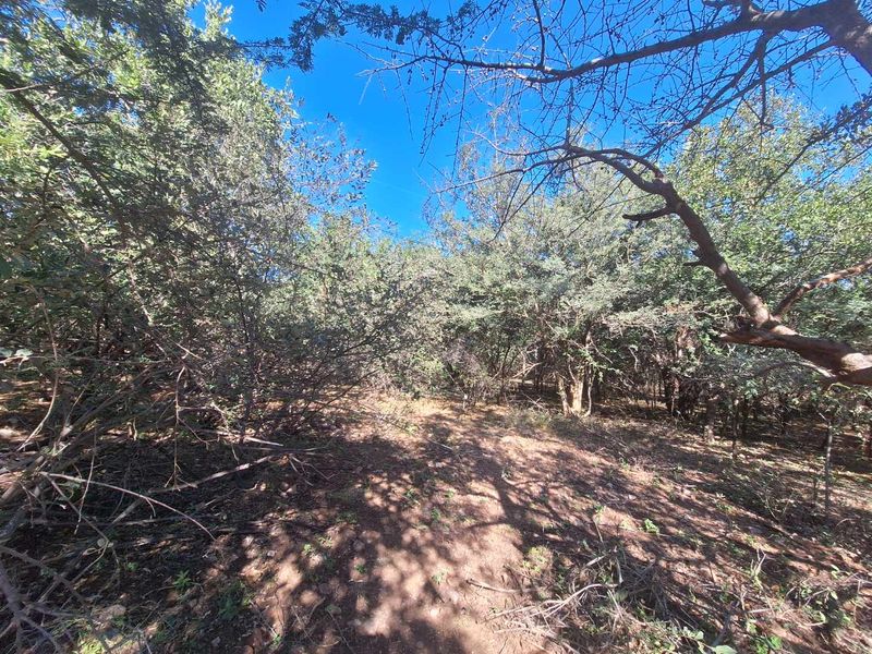 Escape to Leeupoort - Natures Sanctuary Near Pretoria - Photo 2