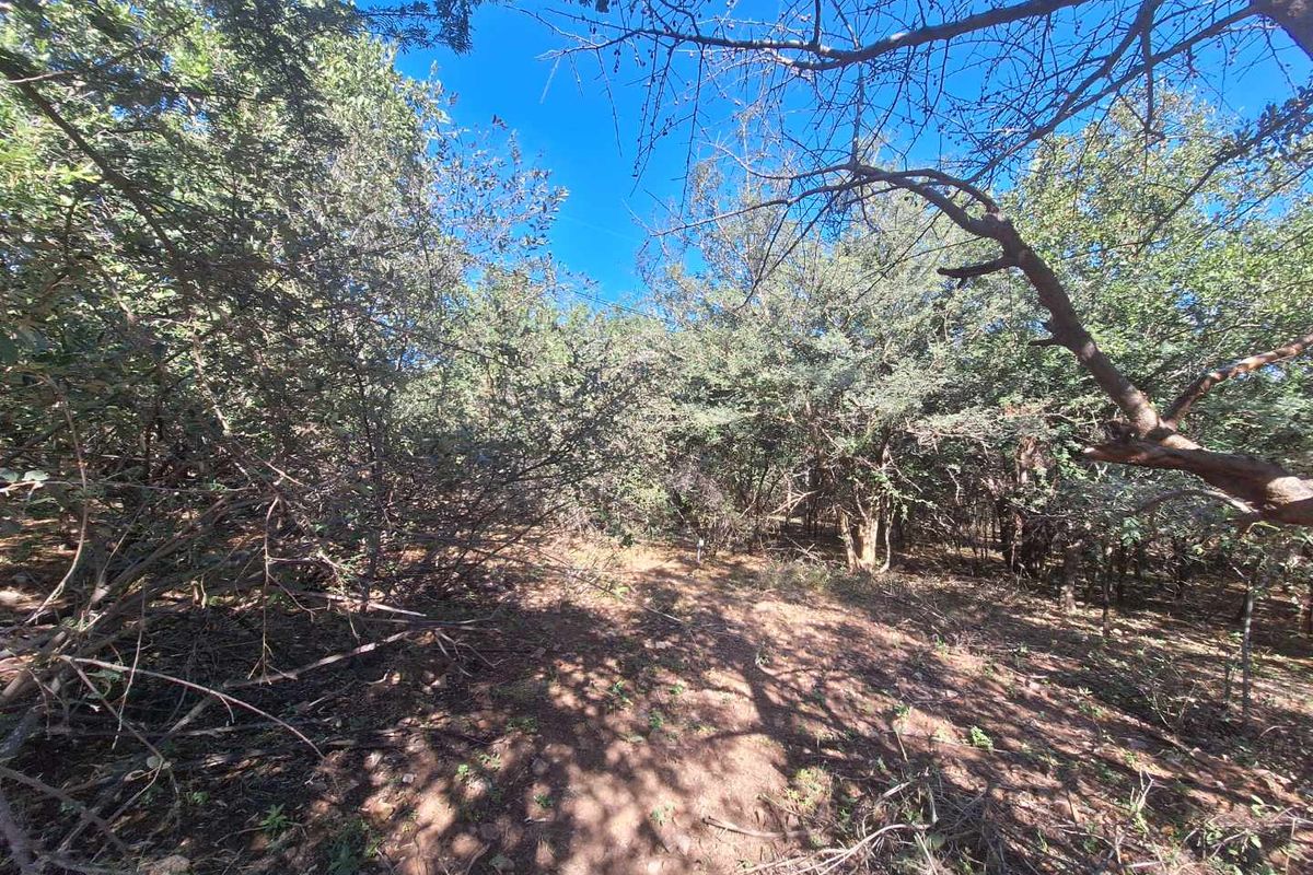 Escape to Leeupoort - Natures Sanctuary Near Pretoria - Photo 2