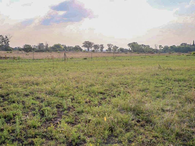 Countryside Smallholding for Sale in Koppies - Photo 3