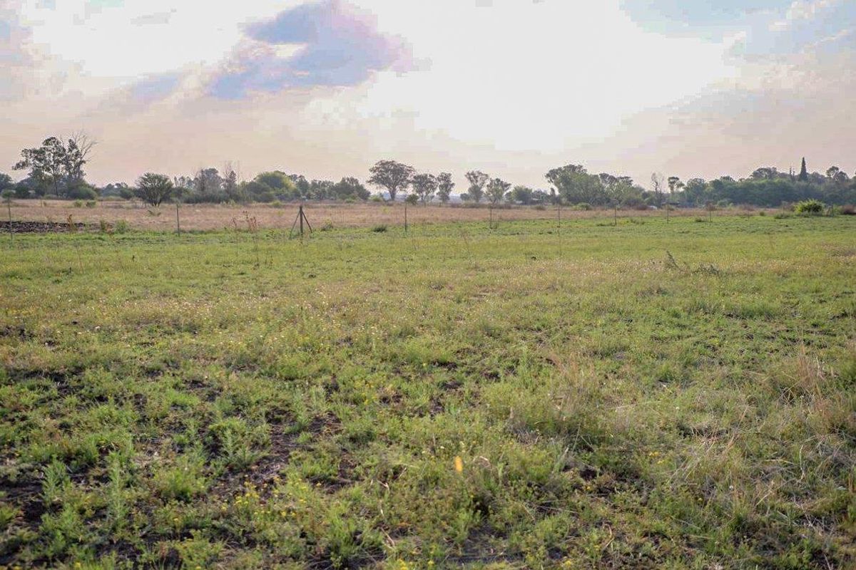 Countryside Smallholding for Sale in Koppies - Photo 3