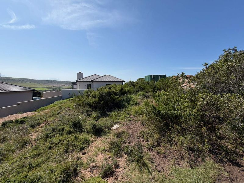 A view of the sloped, undeveloped residential land featuring native vegetation and a boundary wall, with neighboring properties visible in the background.