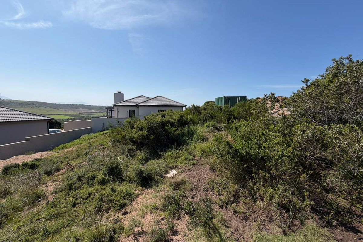 A view of the sloped, undeveloped residential land featuring native vegetation and a boundary wall, with neighboring properties visible in the background.