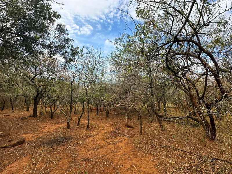 Vacant Stand for Sale in Kampersrus - Photo 8