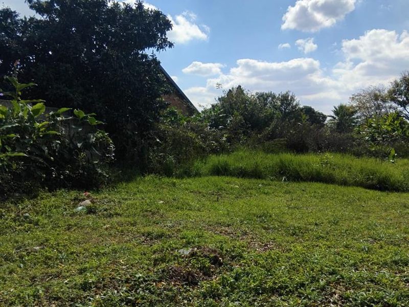 Large vacant land available for sale. - Photo 4