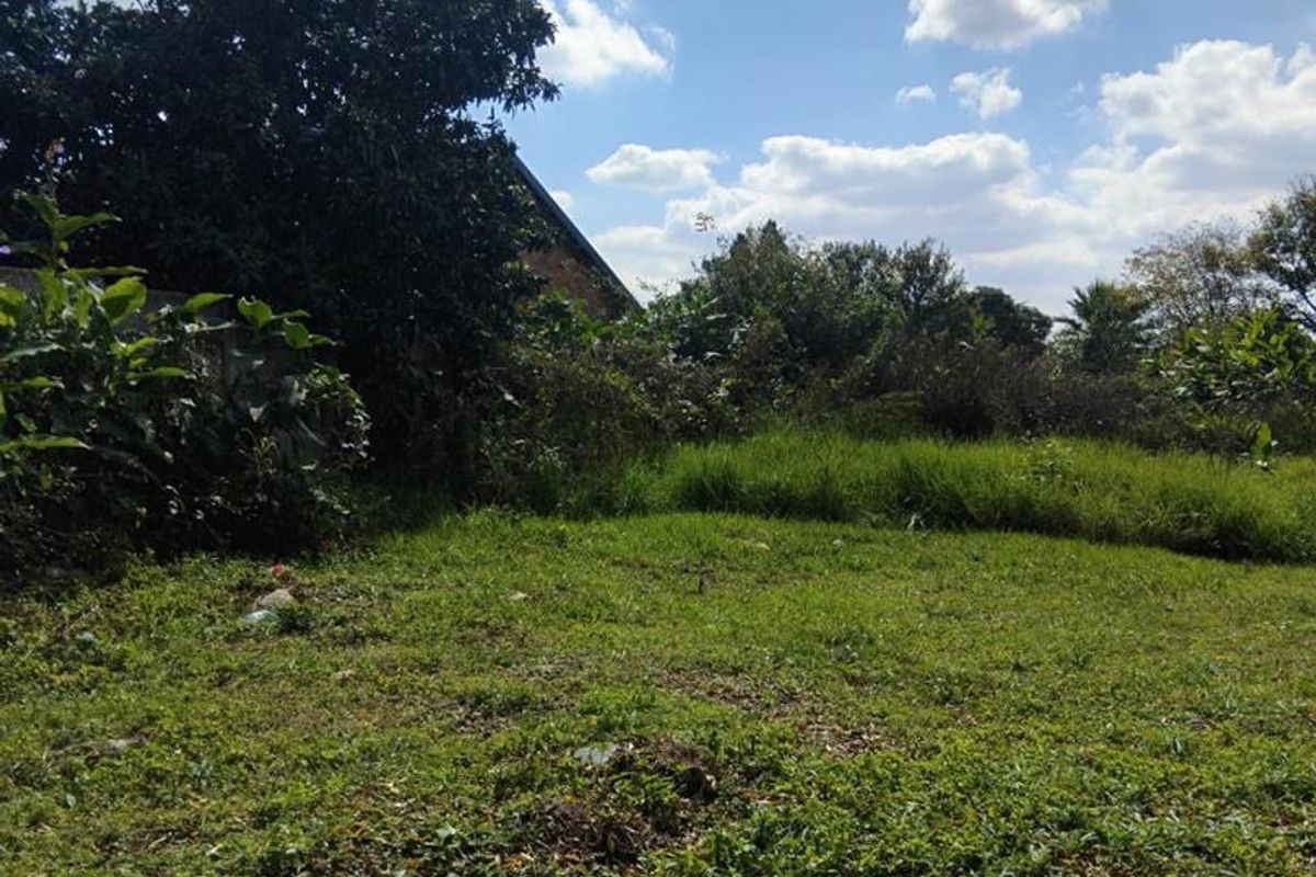 Large vacant land available for sale. - Photo 4