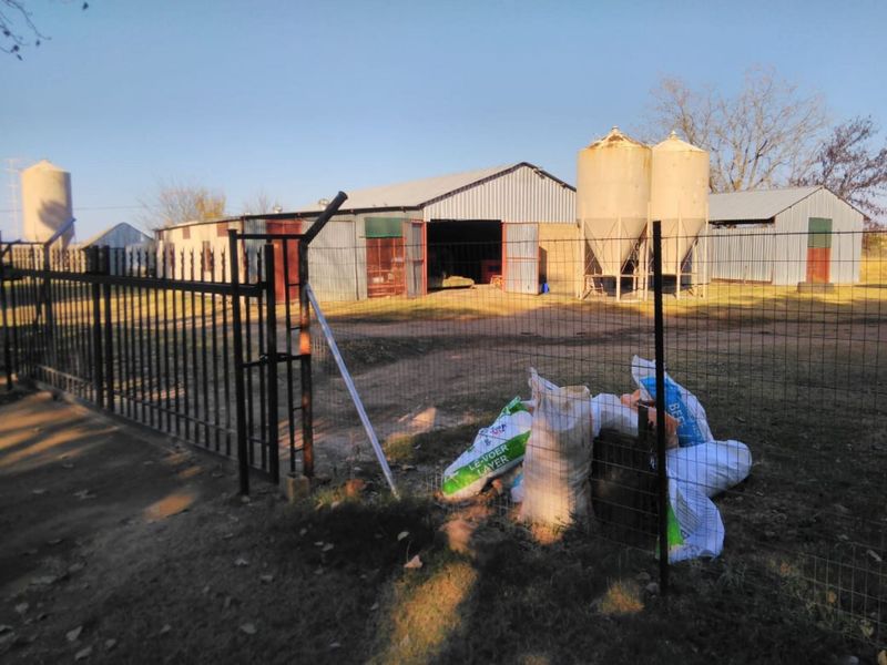 Agricultural Farm for sale - Photo 6