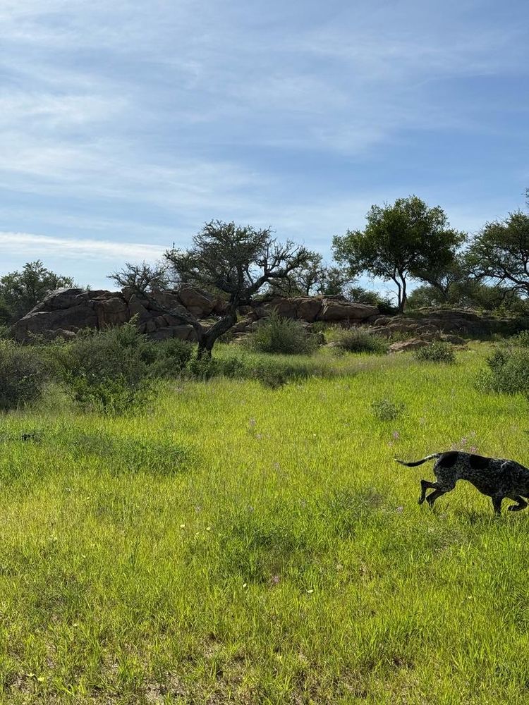 View of the field on the Farm