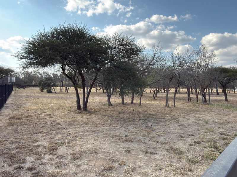 A view of a vacant commercial land plot featuring established trees and perimeter fencing.