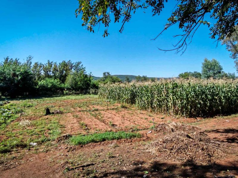 22ha Farm for Sale – Prime Small-Scale Farming Opportunity - Photo 8