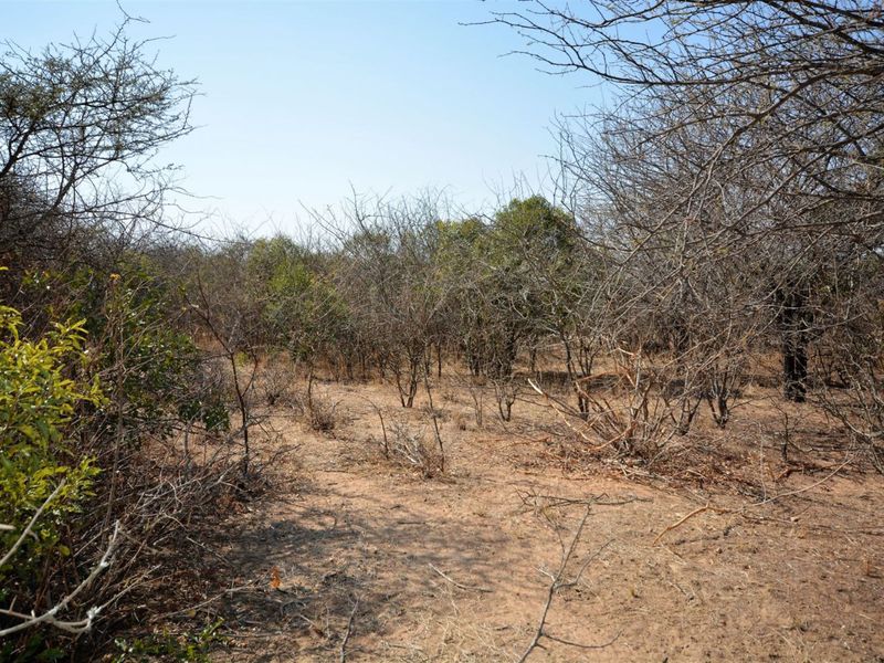 Vacant Land in MODITLO NATURE RESERVE - Photo 9